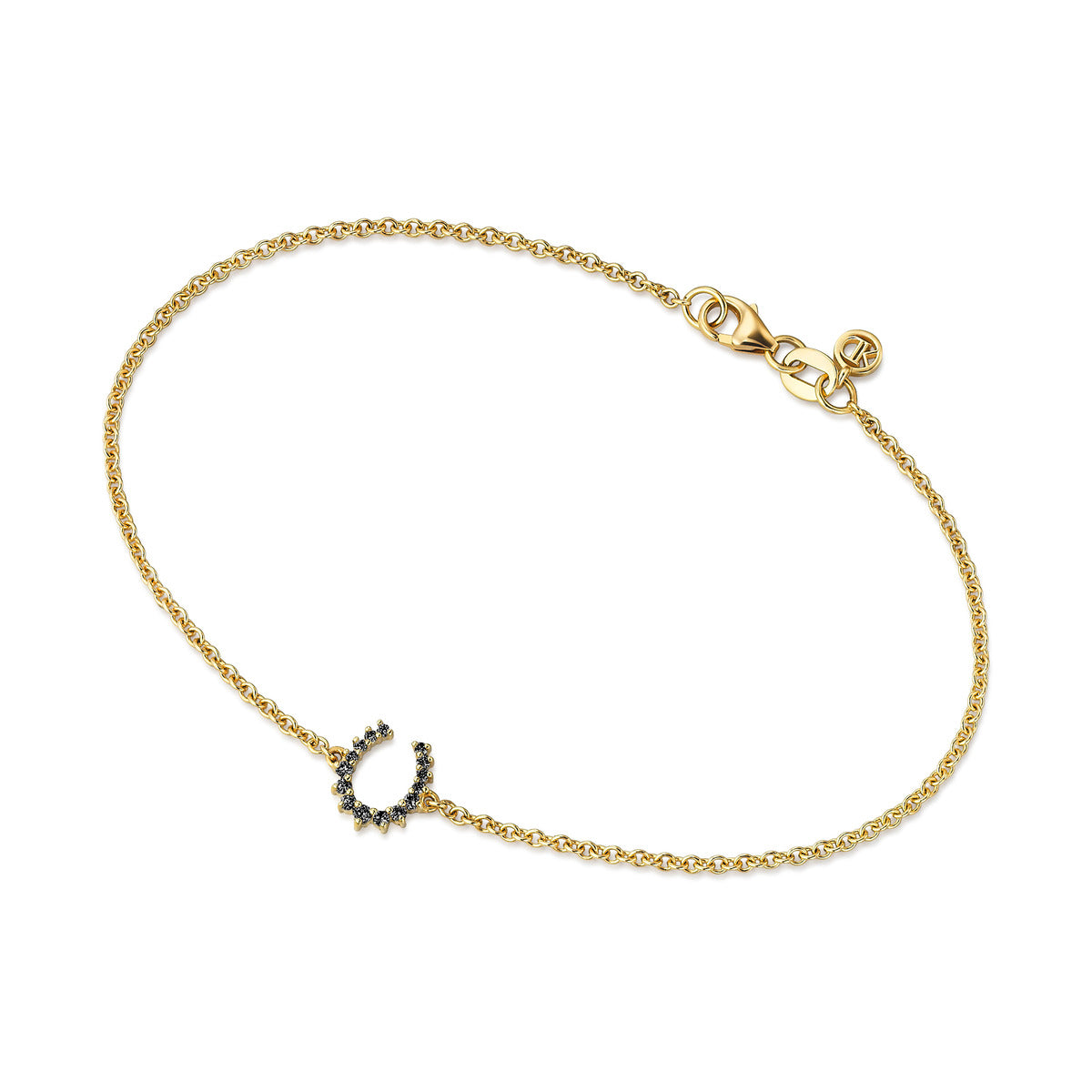 Pointless Journey　CHAIN BRACELET - GOLD Journey Graduating 9ct-Karat Gold & Black Diamond Horseshoe
